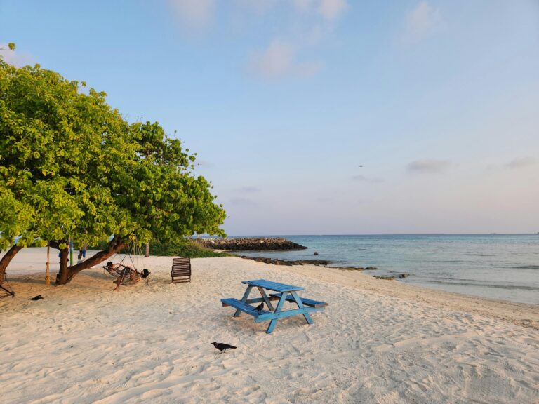 pexels-sarita-mittal-1008728824-31433655